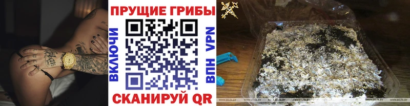 Псилоцибиновые грибы прущие грибы Купить закладки Кольчугино